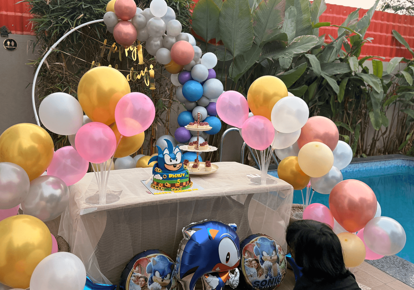 Paws, Play, and Party: A Birthday to Remember at Viro Villa!
